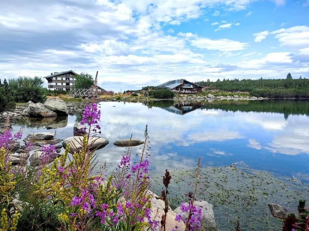 Alpine Lodge Bansko Apartments Exterior foto